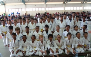 Petits Tigres 24 février 2013