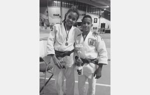 Tournoi national Cadets de Maubeuge (label B) - 17 Janvier 2015