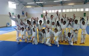 Stage multi-activités Poussins - 25/26 Janvier 2016