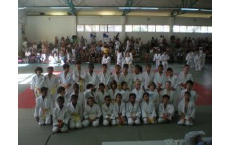 2ème édition des Petits Tigres Poussins 19-02-2012