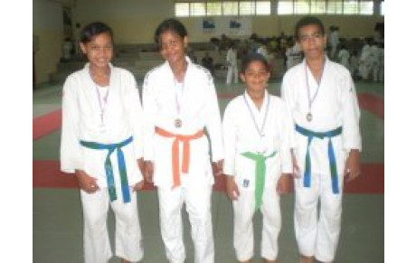 Championnat académique UNSS Benjamins 29 Fév 2012