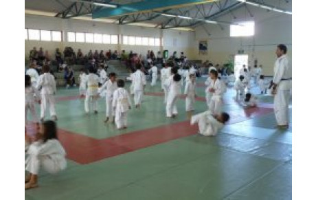 Petits Dragons 23-06-12