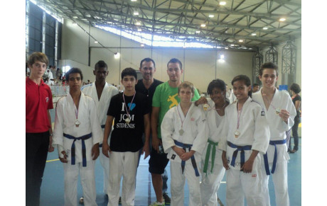 Tournoi du Sud Minimes 3 Mars 2013
