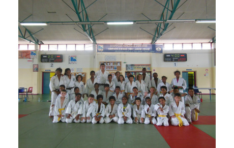 Stage Poussins multi-activités 17/18 Mars 2014