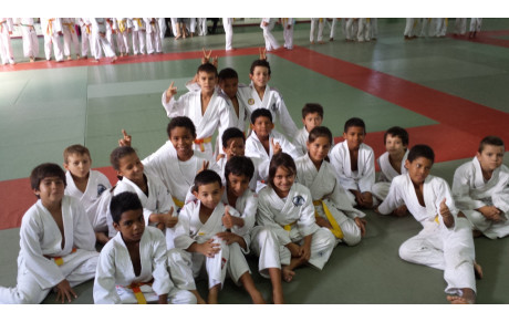 Petits Tigres et Inter district Benjamins - 22 Février 2015