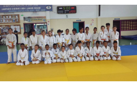 3ème édition des Petits Tigres - Poussins - 8 Novembre 2015