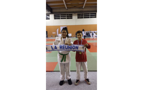 Coupe des Rois Minimes - Romans sur Isere - 16 Janvier 2016