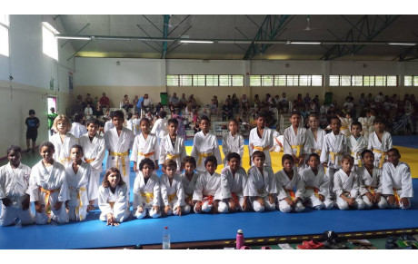 Tournoi des Petits Tigres - 28 Février 2016