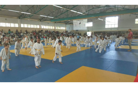 Tournoi des Petits Dragons - 24 Juin 2017